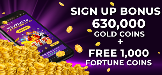 fortune coins casino Jouabilité